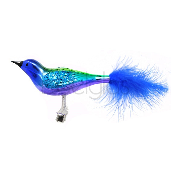 European Glass Christmas ornament of a Birds on Clip (G) | Medium Feather Tail