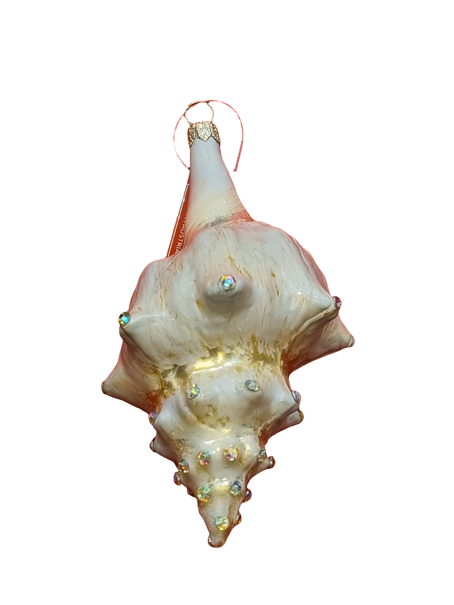 European Glass Christmas ornament of a Shell | Large Conch with Crystals (T)