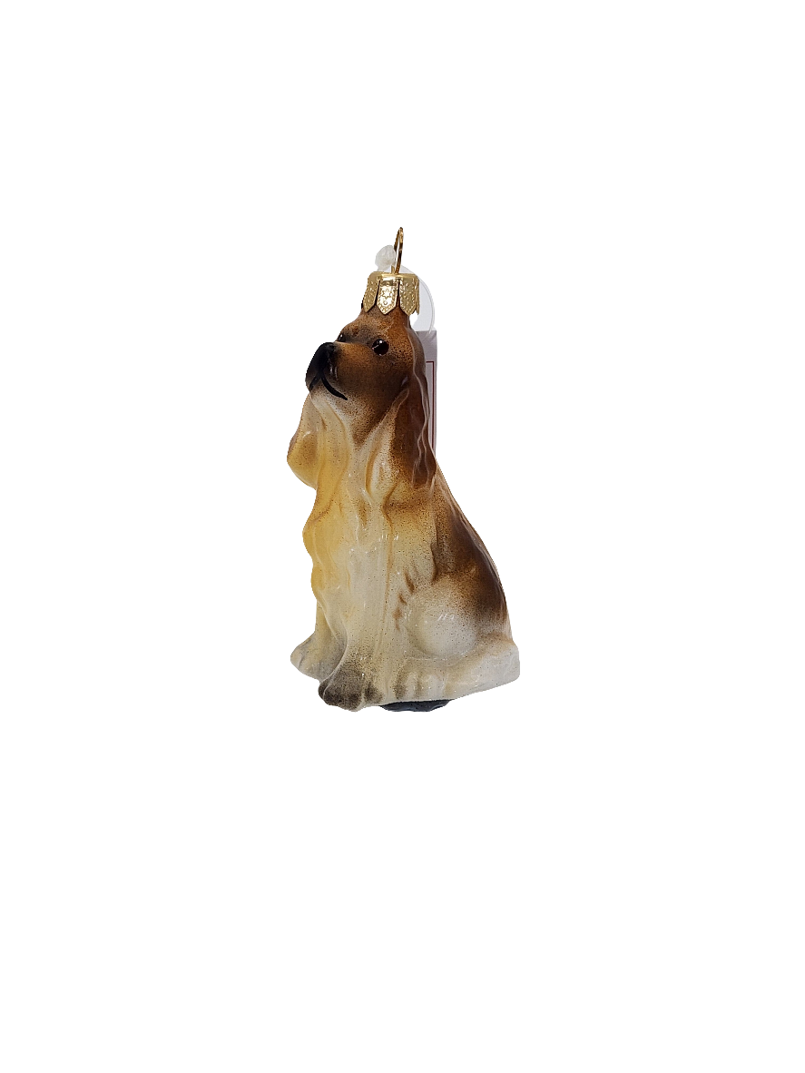Dog | Cocker Spaniel Floppy Ears (R)
