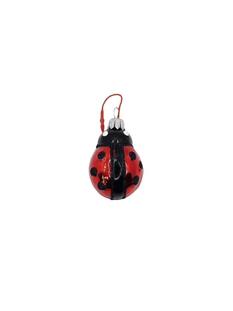Ladybird/Ladybug (F)