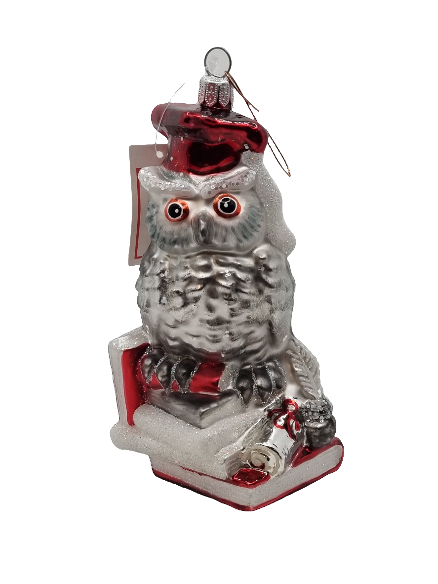 European Glass Christmas ornament of a Owl Books (V)