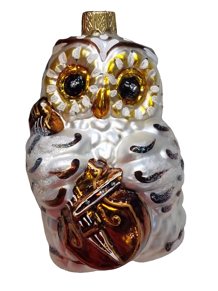European Glass Christmas ornament of a Owl with Violin/Cello (J)