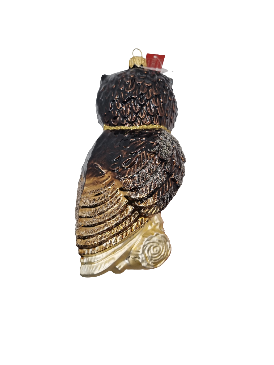 European Glass Christmas ornament of a Owl with Book (V)