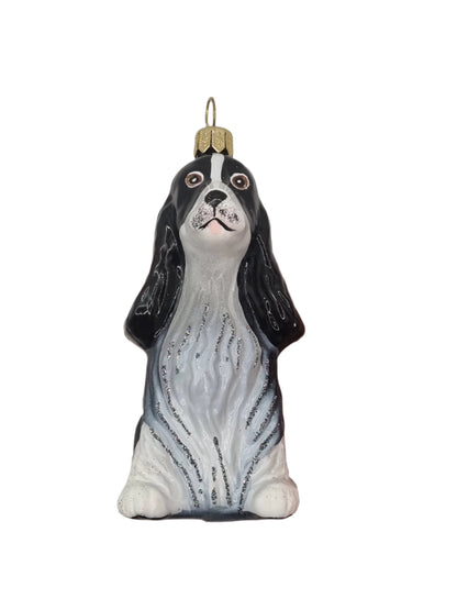 Dog | King Charles Spaniel (S)
