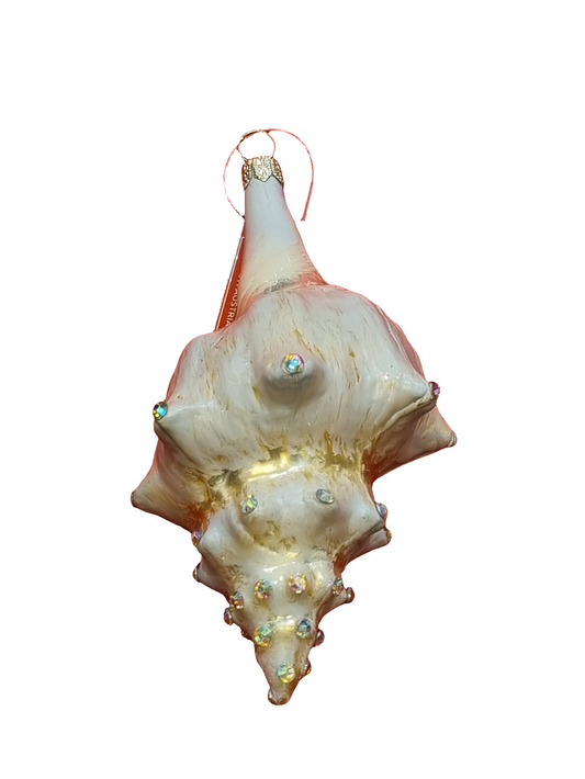Shell | Large Conch with Crystals (T)