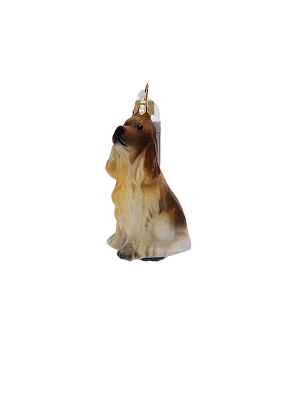 Dog | Cocker Spaniel Floppy Ears (R)