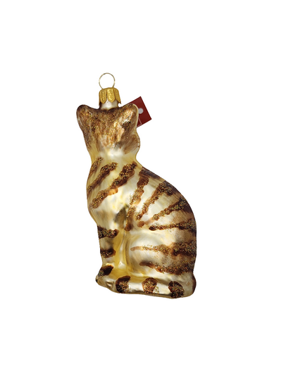 Cat | Ginger Striped Tabby (R)