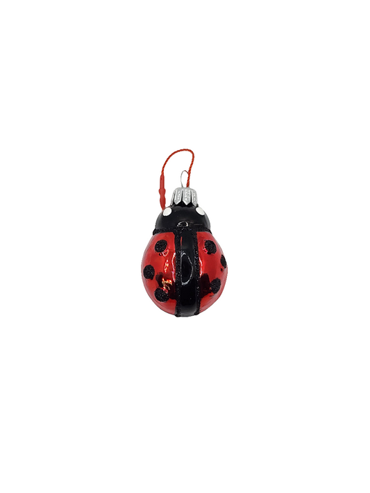Ladybird/Ladybug (F)