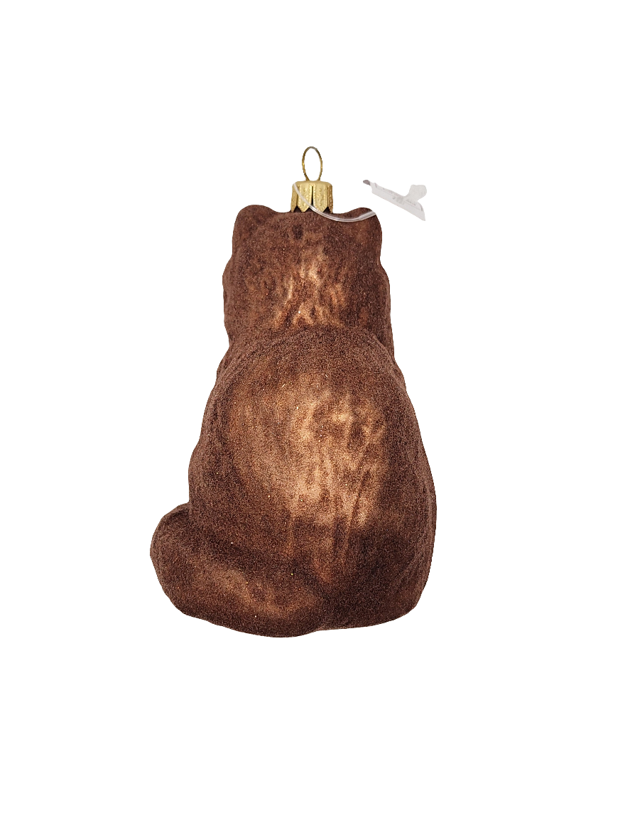 Cat | Large Ragdoll brown (T)