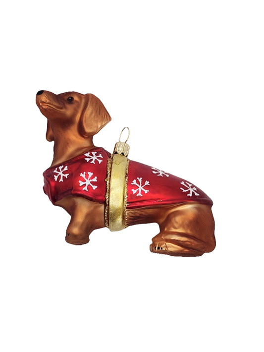 Dogs | Dachshund with Jacket Sausage Dog (W)