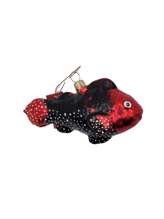 Fish | Trout (R)