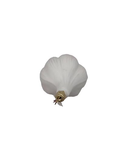 Garlic whole (F)