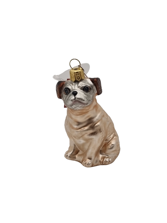 Dog | Pug (N)