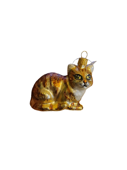 Cat | Ginger Striped Tabby (S)
