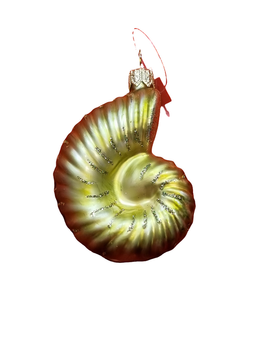 Shell | Snail (G)