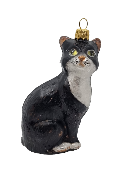 Cat | Black with White Chest (S)