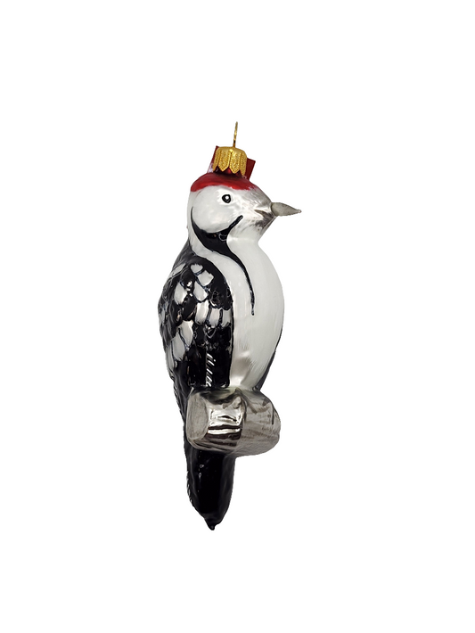 Bird | Woodpecker on Branch (U)
