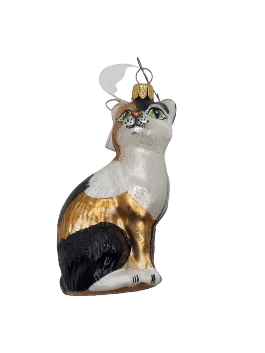 Cat | Black, White & Gold Calico (R)