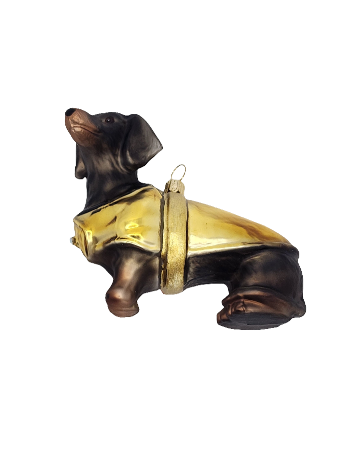 Dogs | Dachshund with Jacket Sausage Dog (W)
