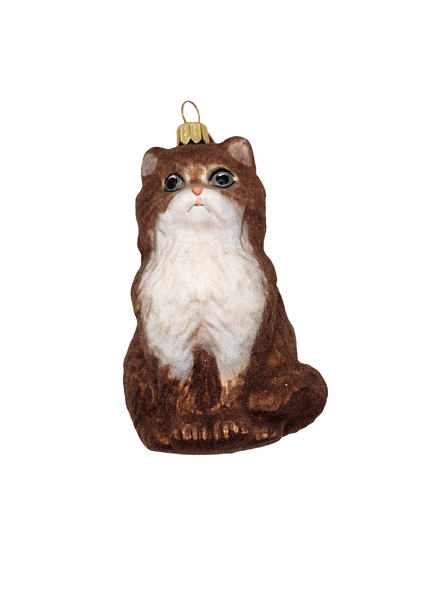 Cat | Large Ragdoll brown (T)