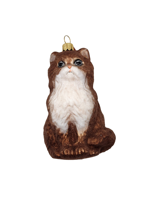 Cat | Large Ragdoll brown (T)