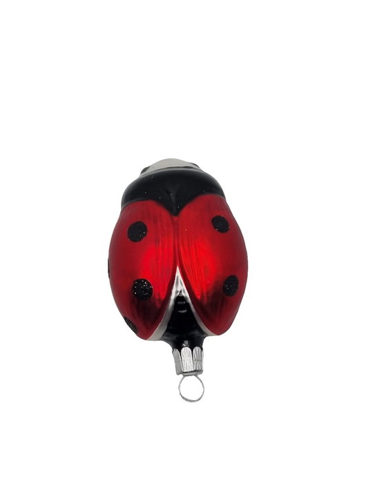 Ladybird/Ladybug | Large (E)