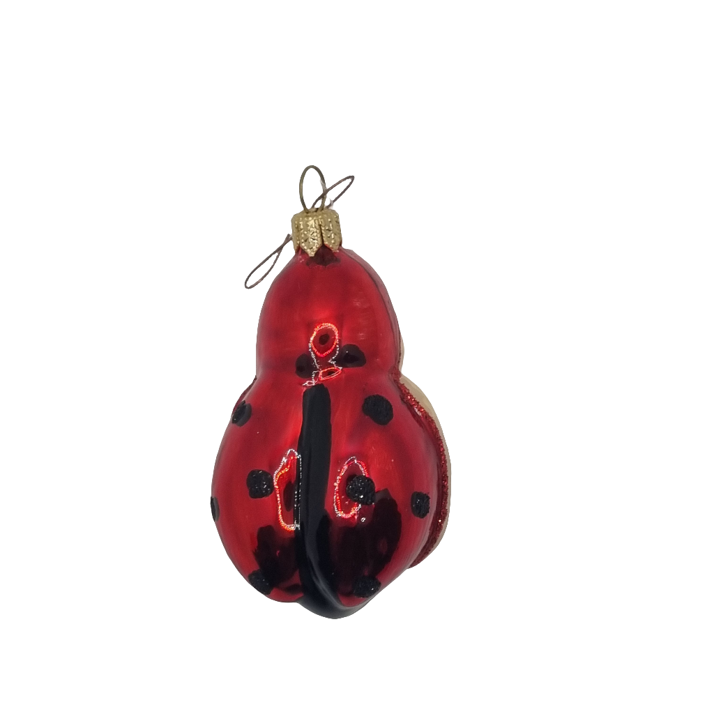 European Glass Christmas ornament of a Ladybird/Ladybug with Face (G)