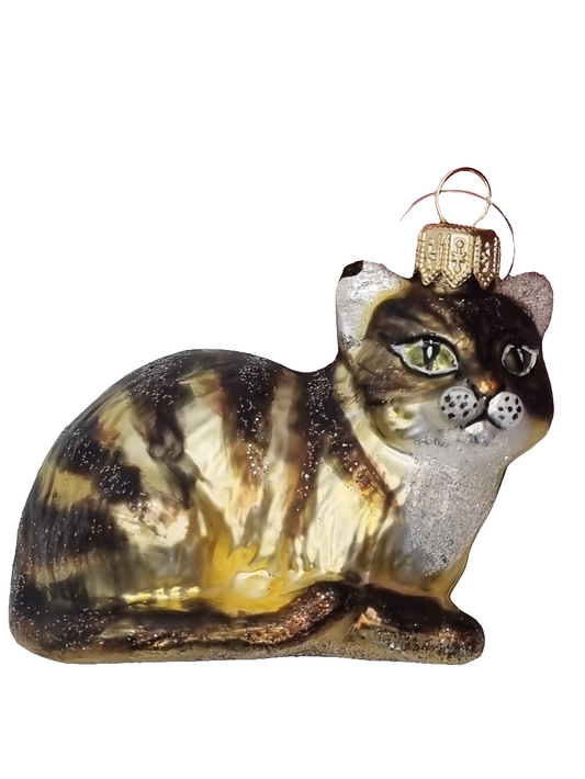 Cat | Gold Striped Tabby with Green Eyes (S)
