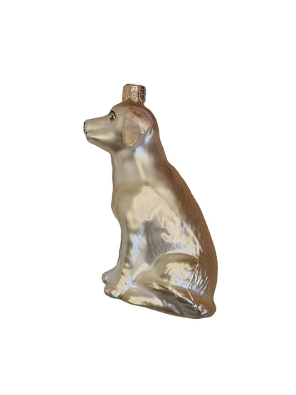 Dog | Golden Labrador (N)