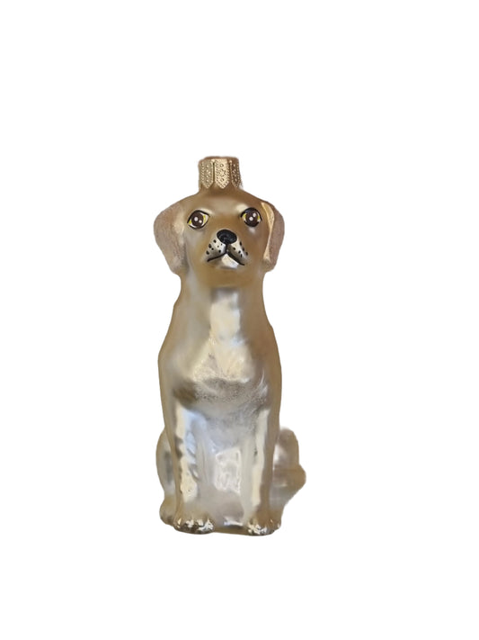 Dog | Golden Labrador (N)