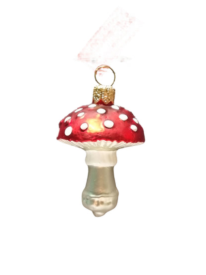 Mushroom | Toadstools in Assorted Colours (N)
