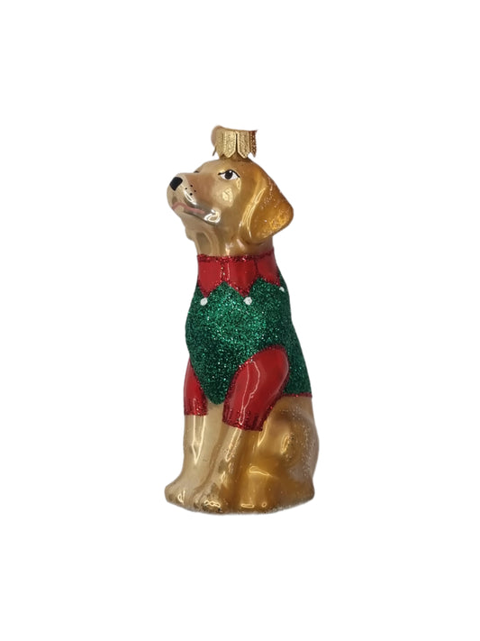 Dog | Labrador in Christmas Jacket (P)