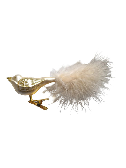 Feathered bird clip on a piece of white